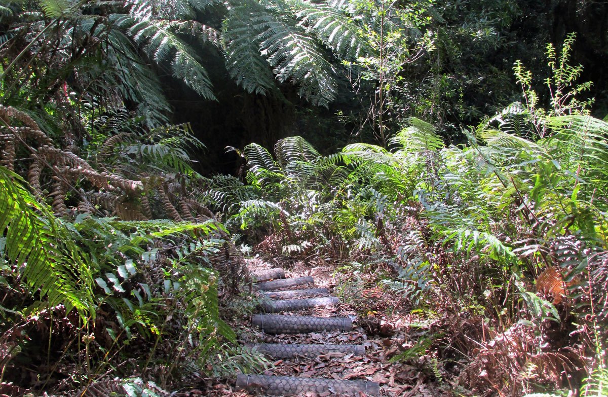 Kaharoa Conservation Area