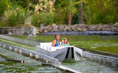 Top 5 Destinations to Visit at Rotorua