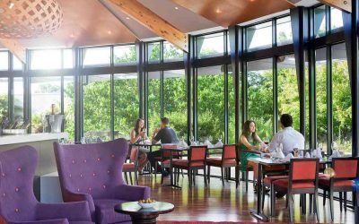 Best Cafés in Rotorua