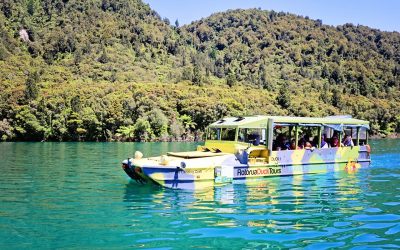 Top Places to See in Rotorua